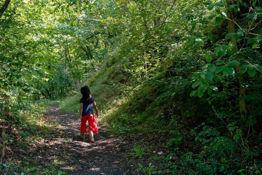 Camping Bockenauer Schweiz Zewnętrze zdjęcie